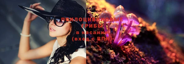 скорость Нягань