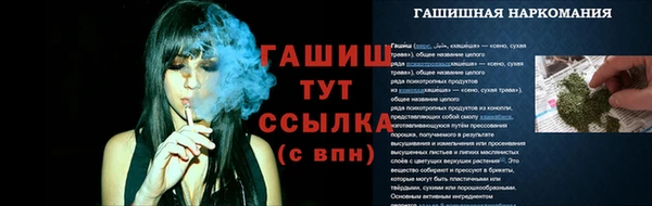 ECSTASY Няндома
