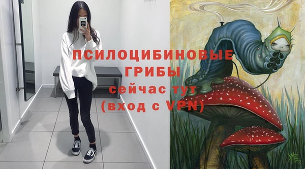 ECSTASY Няндома